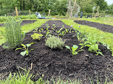 Sustainable Chulmleigh ... Working towards a greener future
