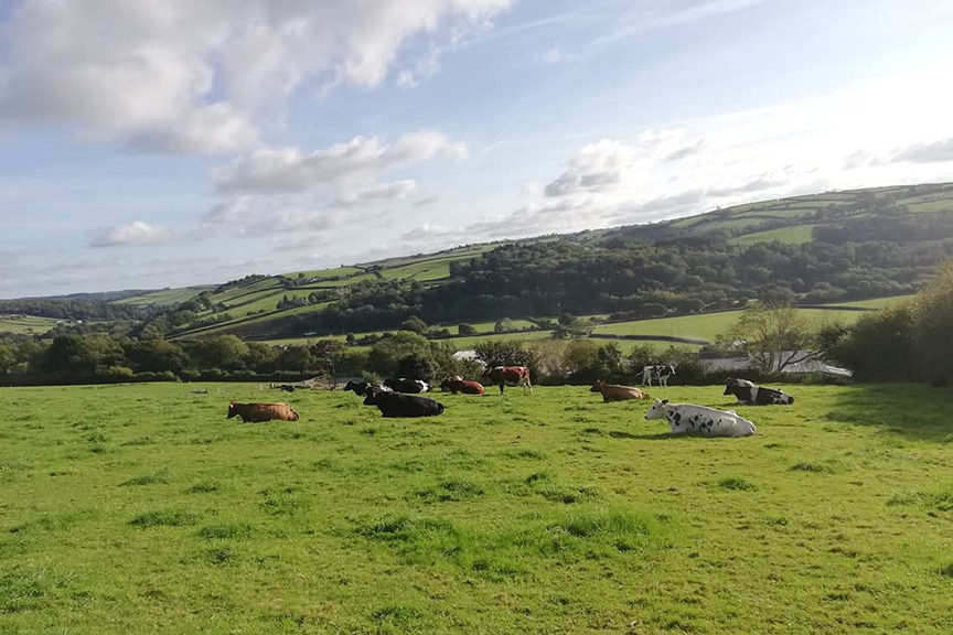 Taw Top Farm Langatons