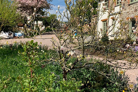 Sustainable Chulmleigh ... Working towards a greener future