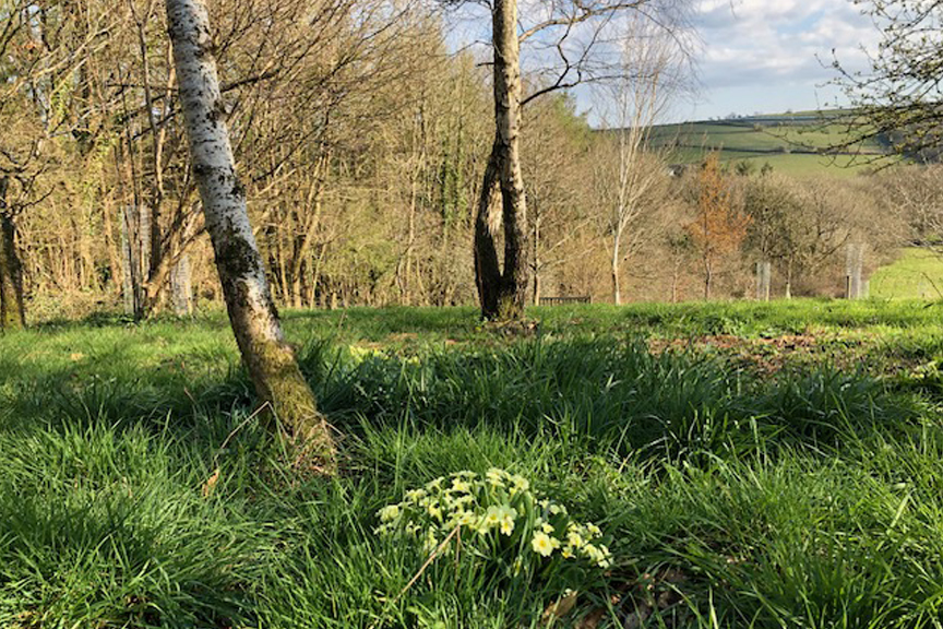 Taw Top Farm Langatons
