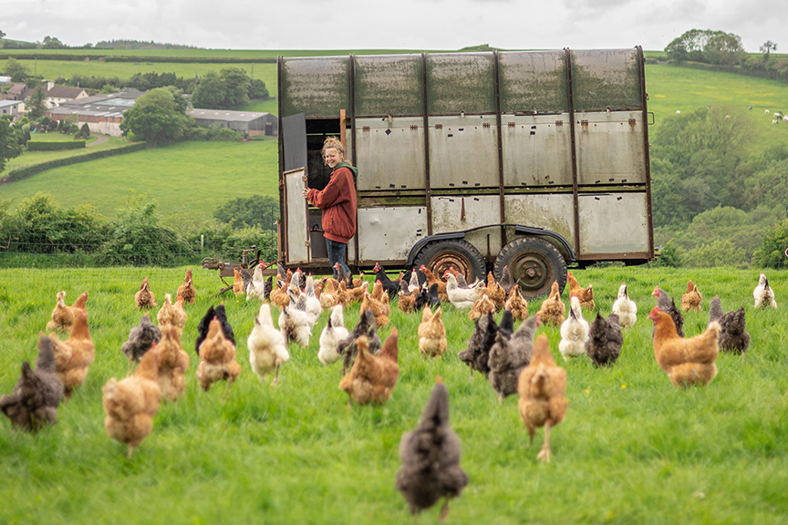 Taw Top Farm Langatons