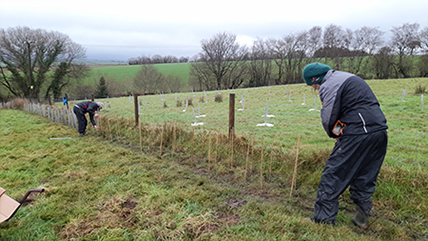 Sustainable Chulmleigh ... Working towards a greener future