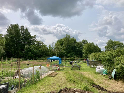 Sustainable Chulmleigh ... Working towards a greener future